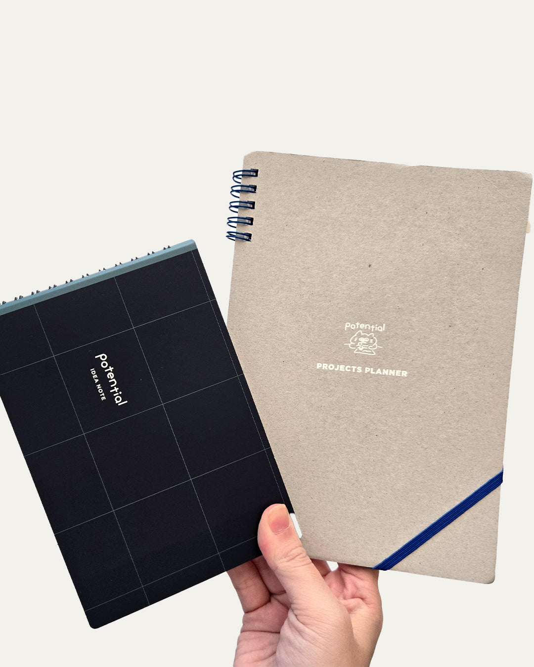 Landscape Idea Notebook (Plain) / Potential