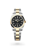 Rolex Explorer 36 124273-0001 - Oyster, 36 mm, Oystersteel and yellow gold