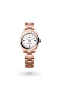 Rolex Oyster Perpetual 28 276205-0002 - Oyster, 28 mm, Everose gold
