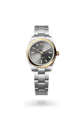 Rolex Oyster Perpetual 31 277203-0001 - Oyster, 31 mm, Oystersteel and yellow gold
