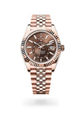 Rolex Sky-Dweller 336935-0006 - Oyster, 42 mm, Everose gold