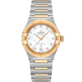 Constellation 29 mm, steel - yellow gold on steel - yellow gold - 13120292055002 - View 1
