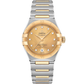 Constellation 29 mm, steel - yellow gold on steel - yellow gold - 13120292058001 - View 1