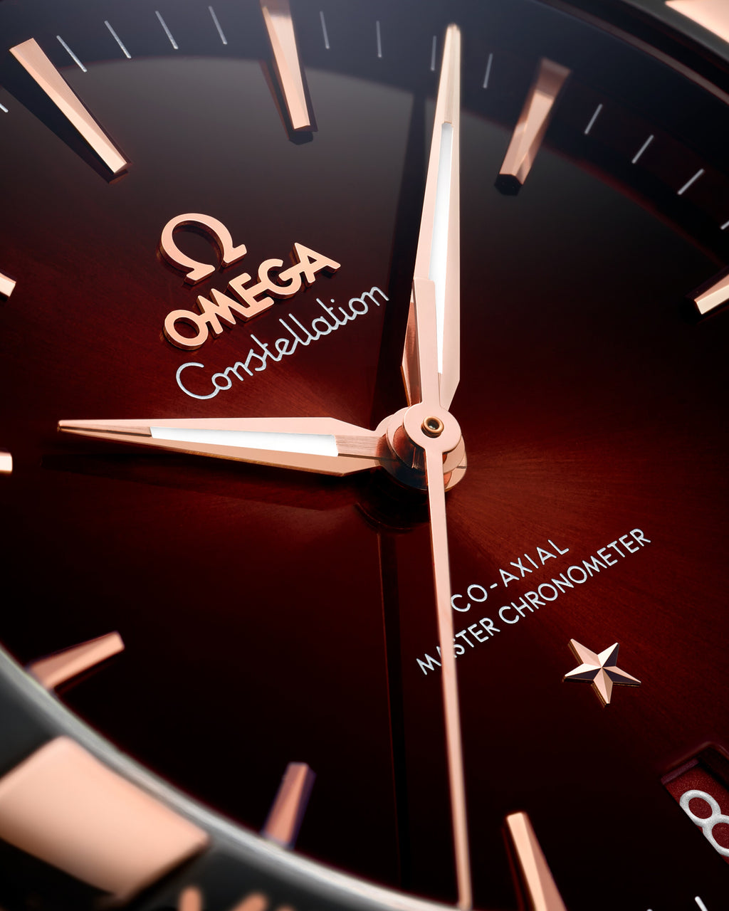 Constellation 41 mm, steel - Sedna™ gold on leather strap - 13123412111001 - View 3
