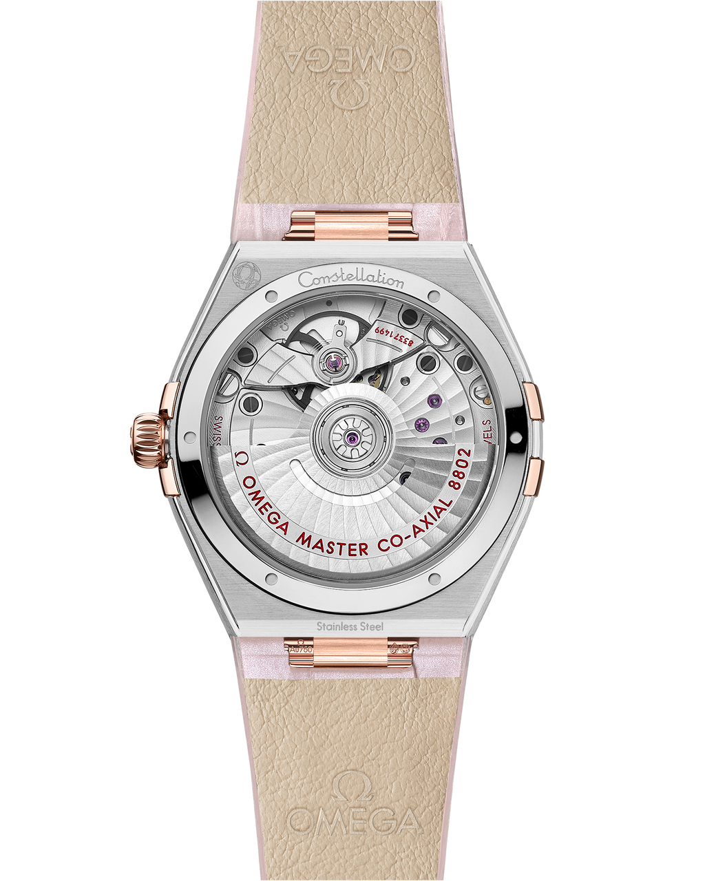 Constellation 34 mm, steel - Sedna™ gold on leather strap - 13128342055001 - View 2