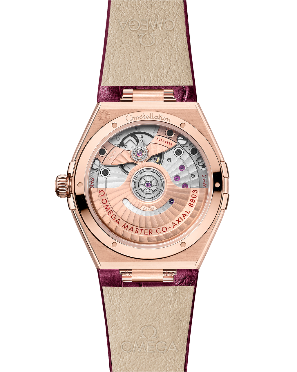 Constellation 34 mm, Sedna™ gold on leather strap - 13158342061001 - View 2