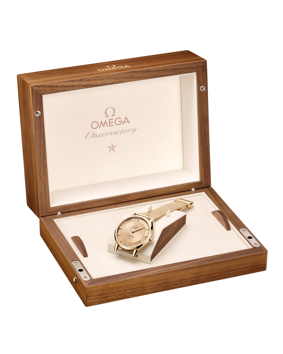 Constellation Observatory 39.4 mm, Moonshine™ gold on Moonshine™ gold - 14050392199001 - View 13