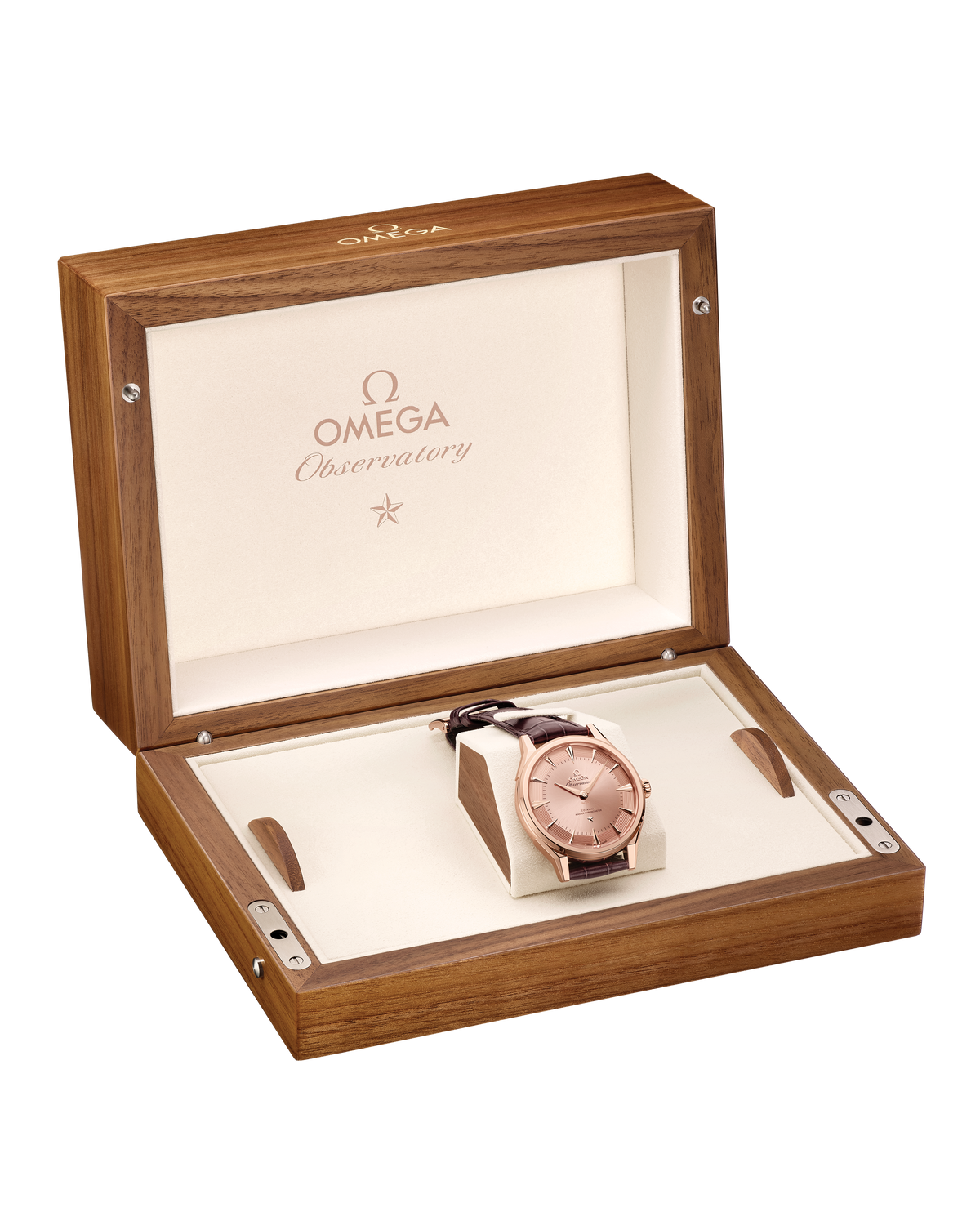 Constellation Observatory 39.4 mm, Sedna™ gold on alligator - 14053392199002 - View 5
