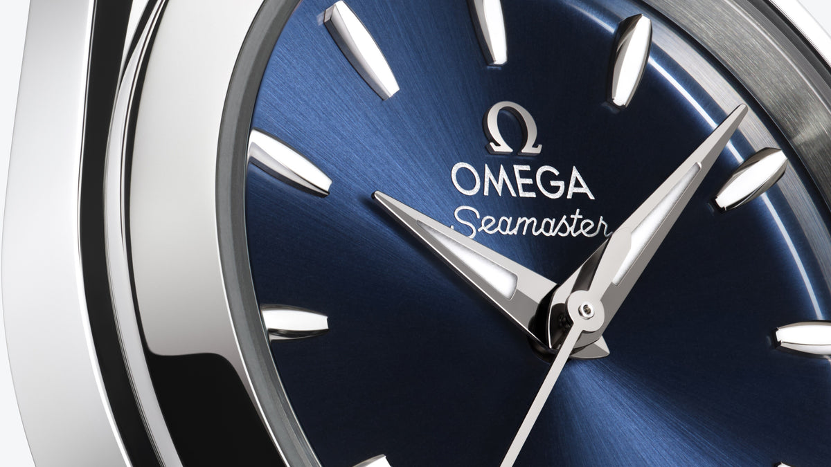 Seamaster Aqua Terra 150M 30 mm, steel on steel - 22010302003001 - View 4