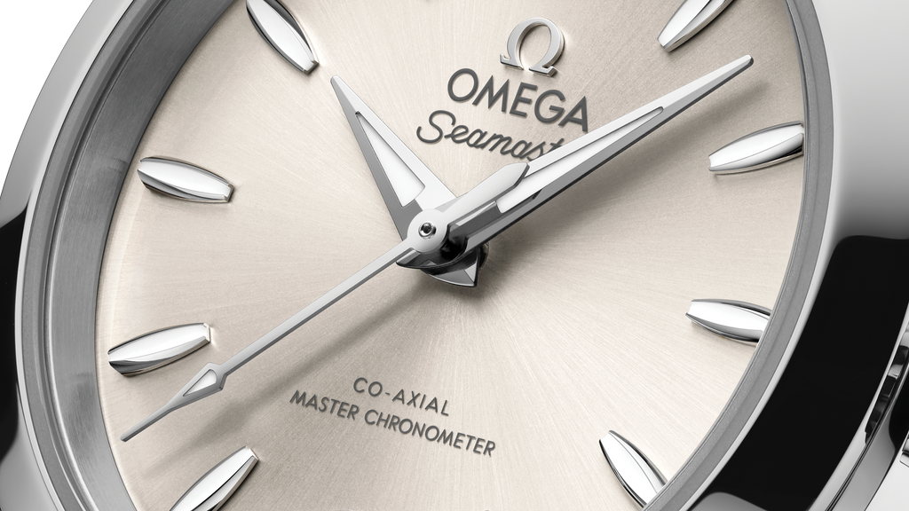 Seamaster Aqua Terra 150M 30 mm, steel on steel - 22010302009001 - View 8