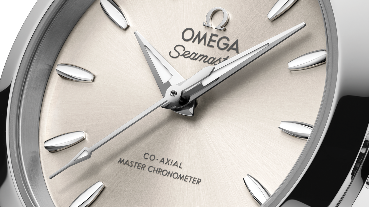 Seamaster Aqua Terra 150M 30 mm, steel on steel - 22010302009001 - View 8