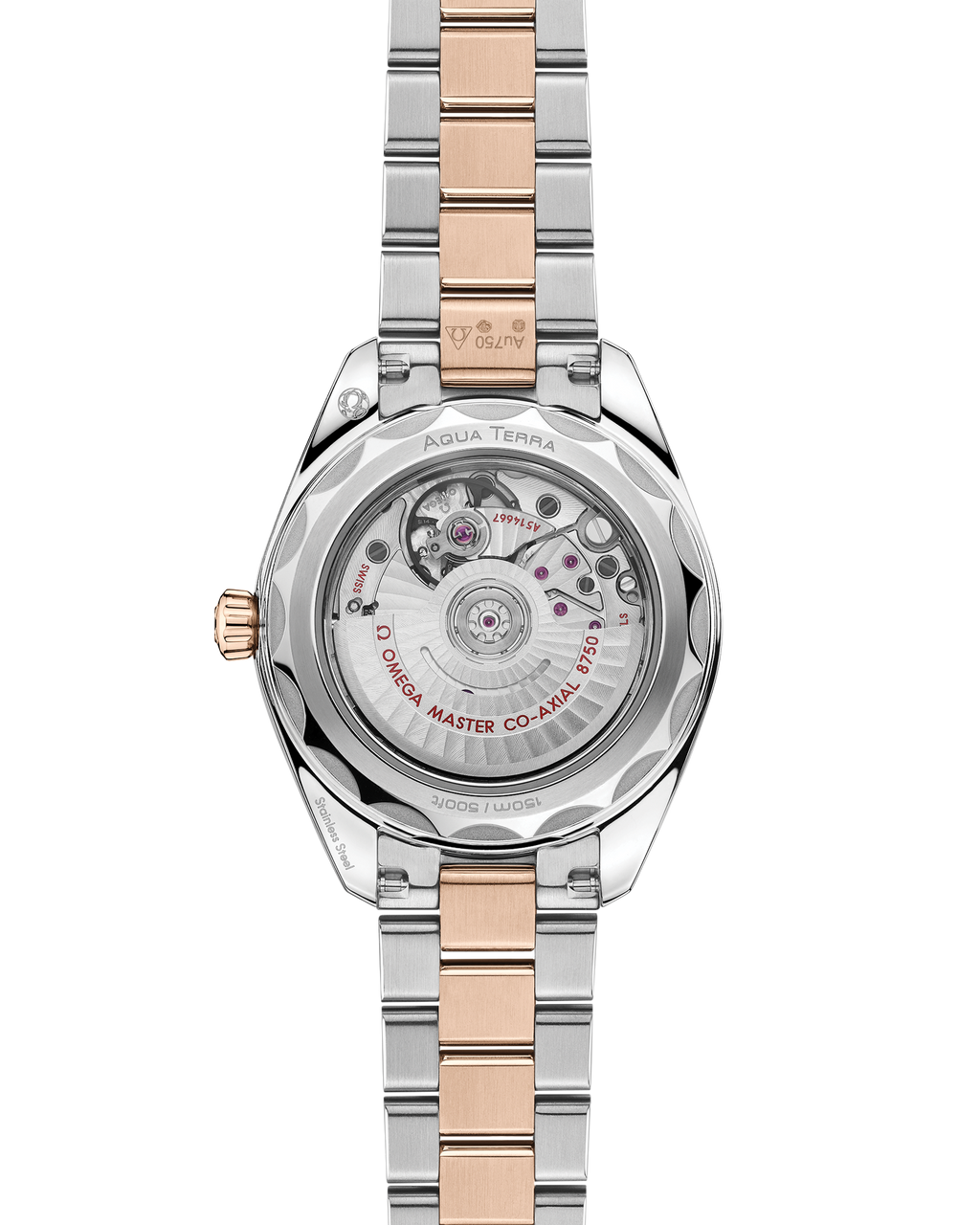 Seamaster Aqua Terra 150M 30 mm, steel - Sedna™ gold on steel - Sedna™ gold - 22020302010002 - View 2