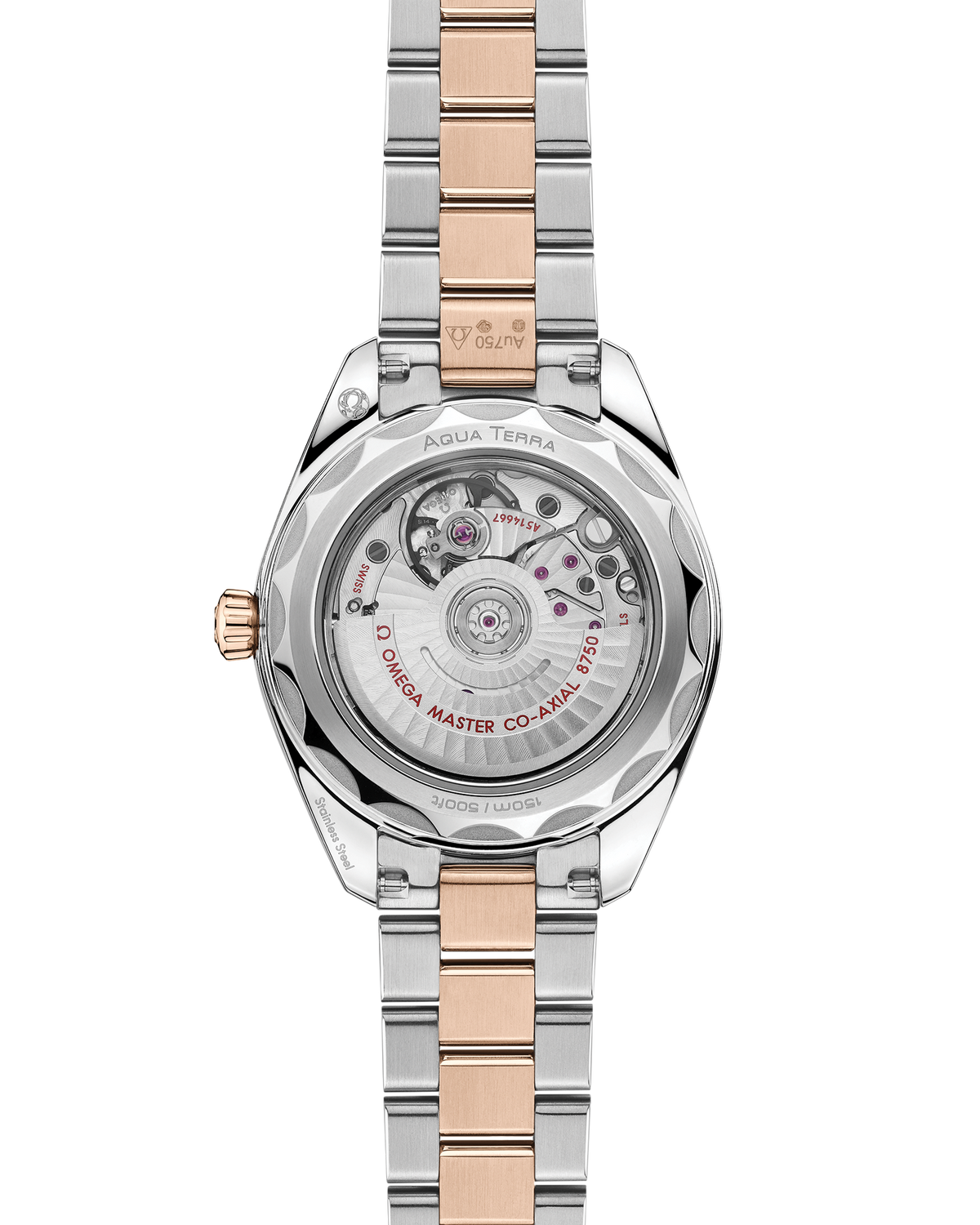 Seamaster Aqua Terra 150M 30 mm, steel - Sedna™ gold on steel - Sedna™ gold - 22020302010002 - View 2