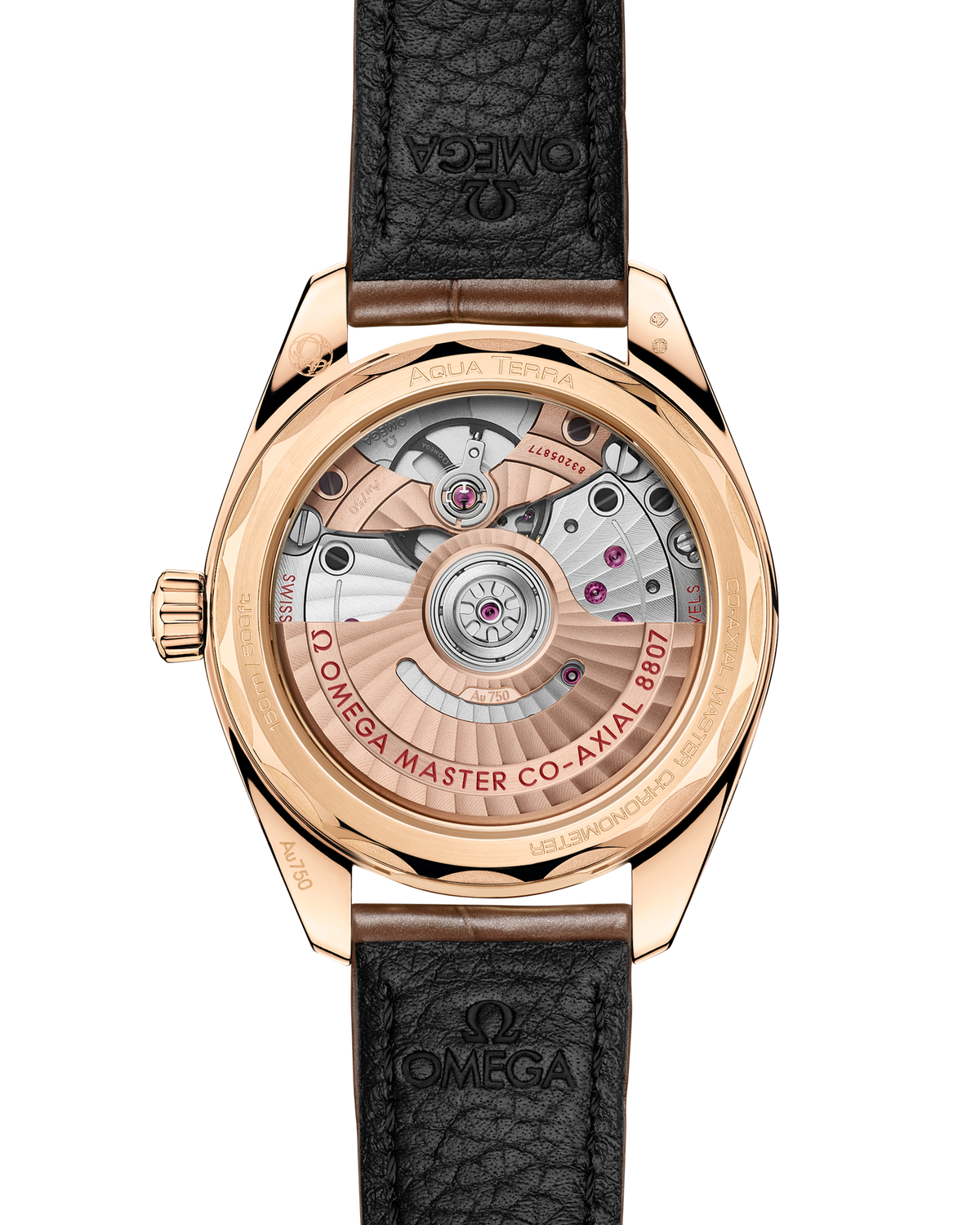Seamaster Aqua Terra 150M 34 mm, Moonshine™ gold on alligator - 22058342099008 - View 2