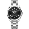 Seamaster Aqua Terra 150M 41 mm, steel on steel - 22010412101003 - View 1