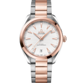 Seamaster Aqua Terra 150M 41 mm, steel - Sedna™ gold on steel - Sedna™ gold - 22020412102001 - View 1