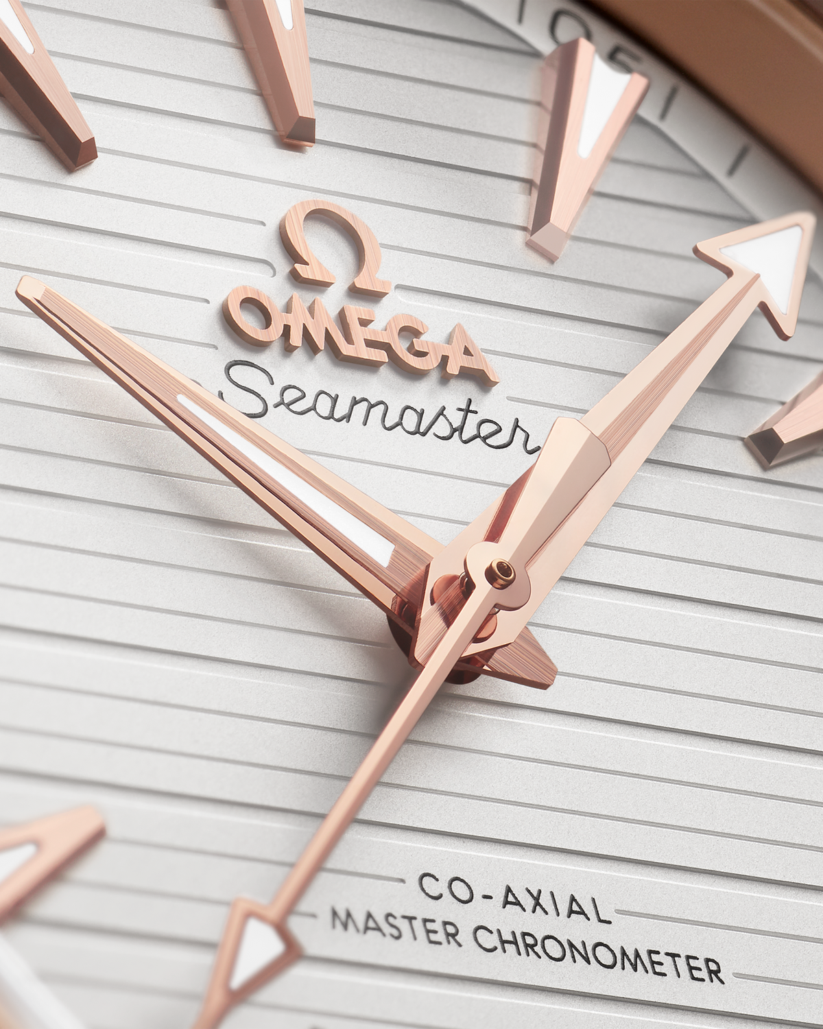 Seamaster Aqua Terra 150M 41 mm, steel - Sedna™ gold on steel - Sedna™ gold - 22020412102001 - View 4