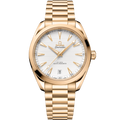 Seamaster Aqua Terra 150M 41 mm, Moonshine™ gold on Moonshine™ gold - 22050412102004 - View 1