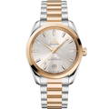 Seamaster Aqua Terra Shades 38 mm, steel - Moonshine™ gold on steel - Moonshine™ gold - 22020382002002 - View 1