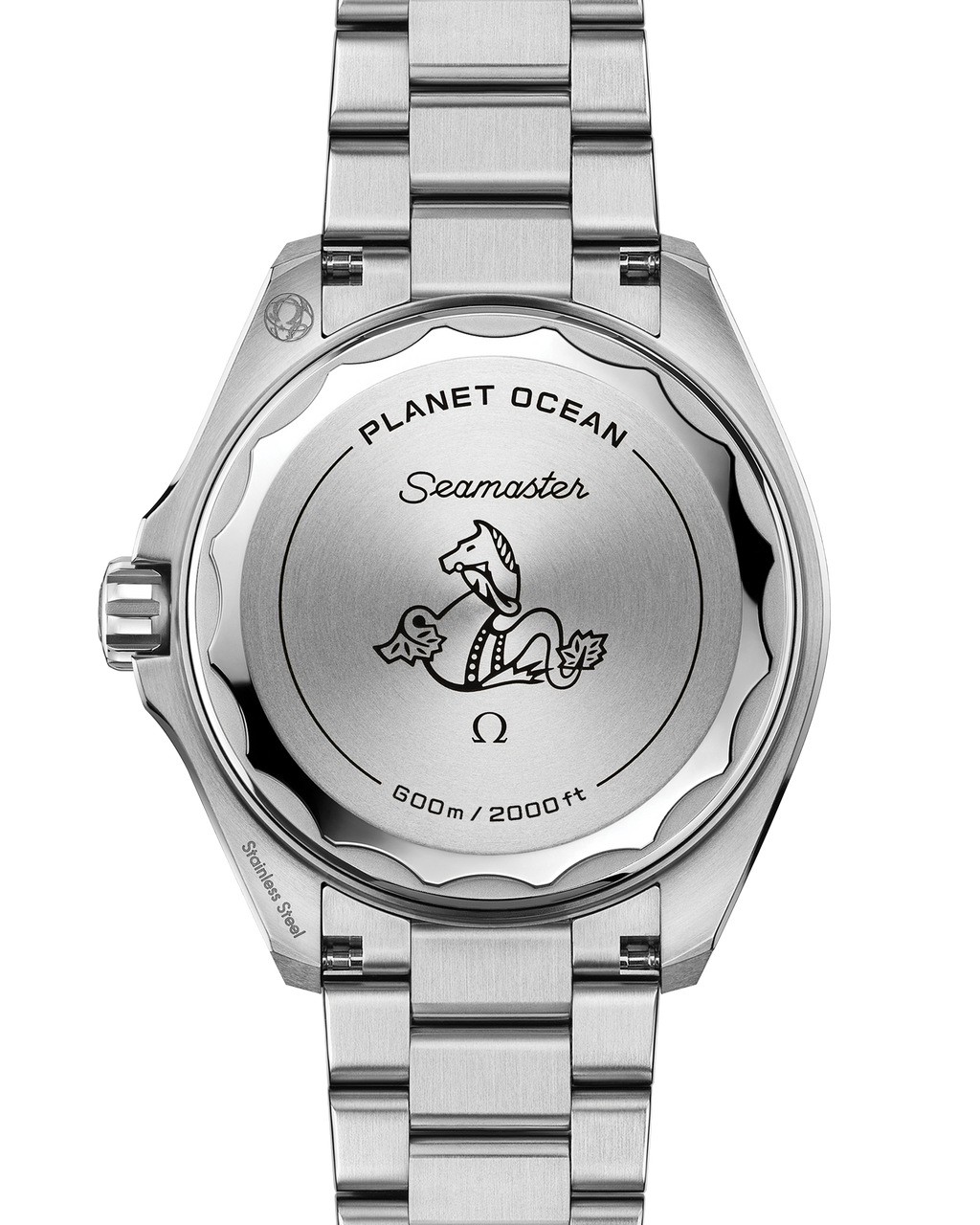 Seamaster Planet Ocean 600M 42 mm, steel on steel - 21730422101001 - View 2
