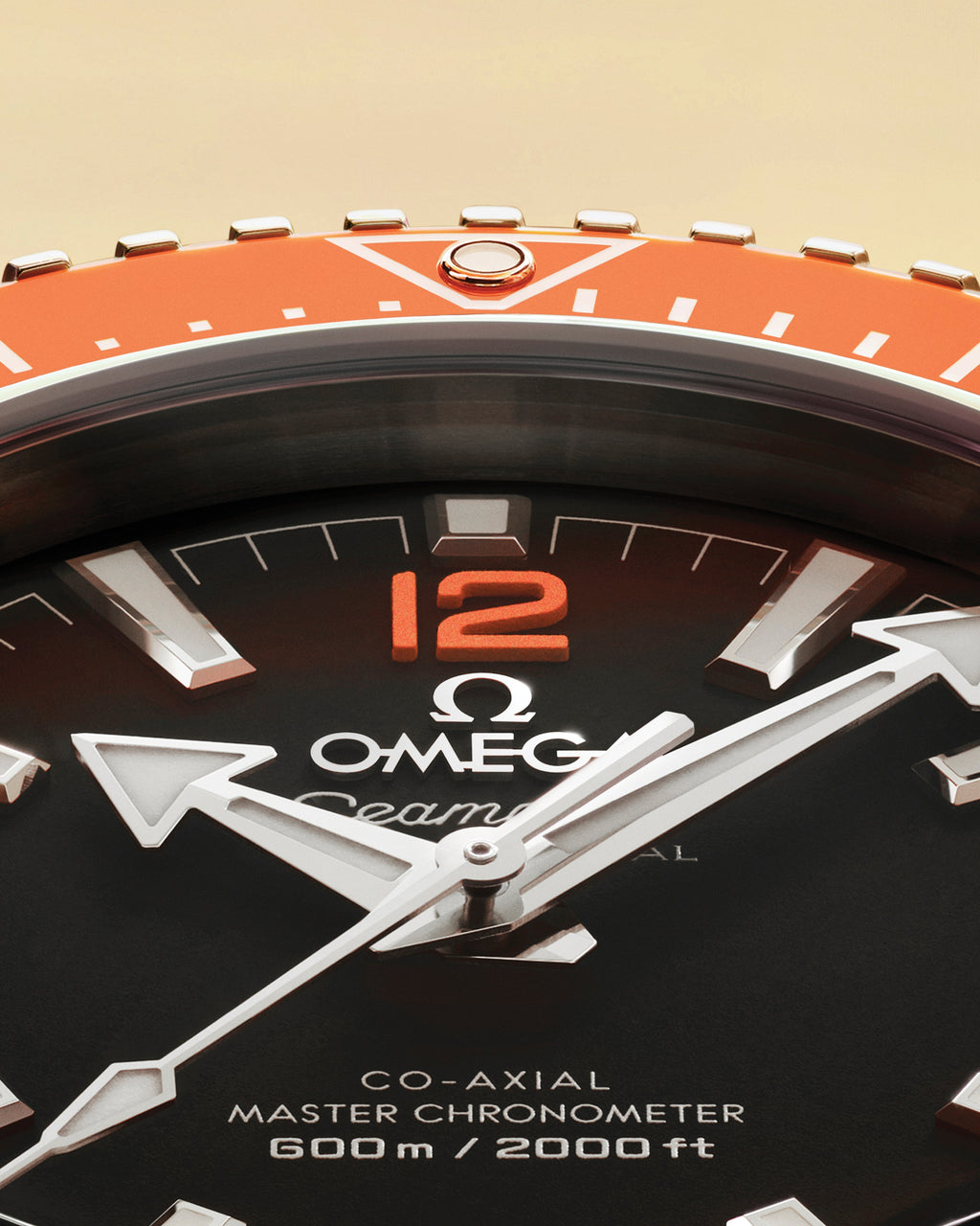 Seamaster Planet Ocean 600M 42 mm, steel on steel - 21730422101003 - View 11