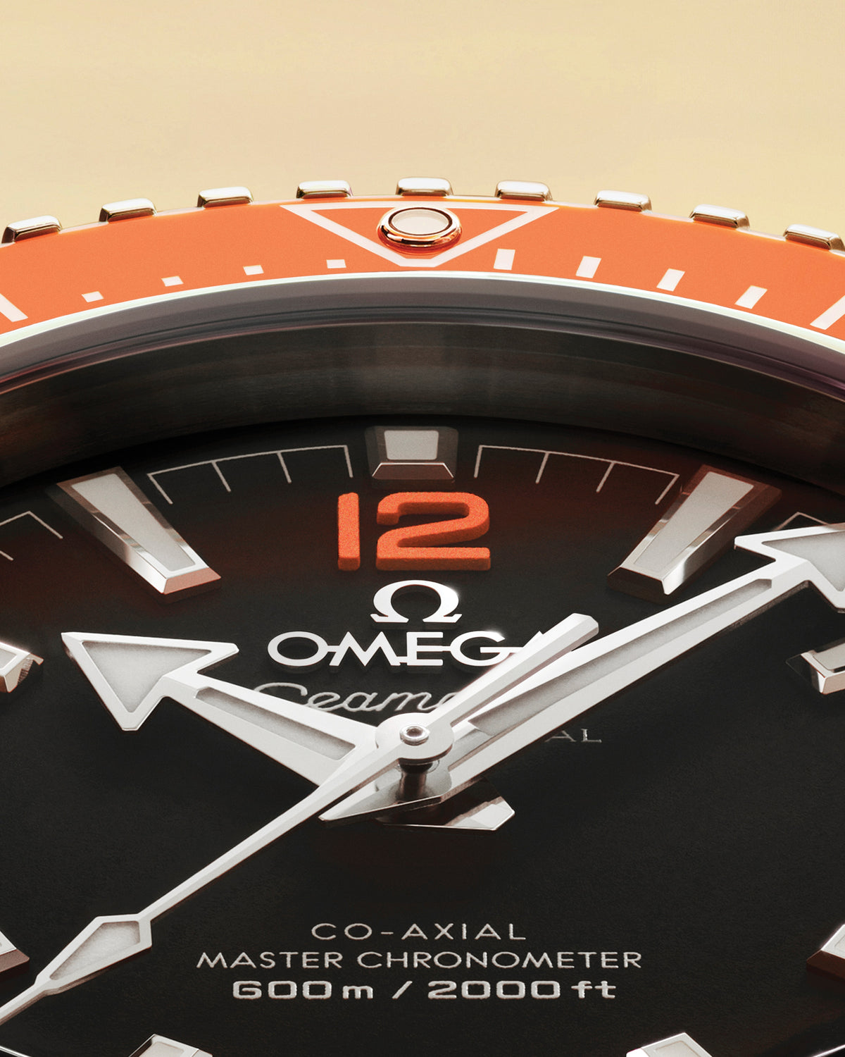 Seamaster Planet Ocean 600M 42 mm, steel on steel - 21730422101003 - View 11
