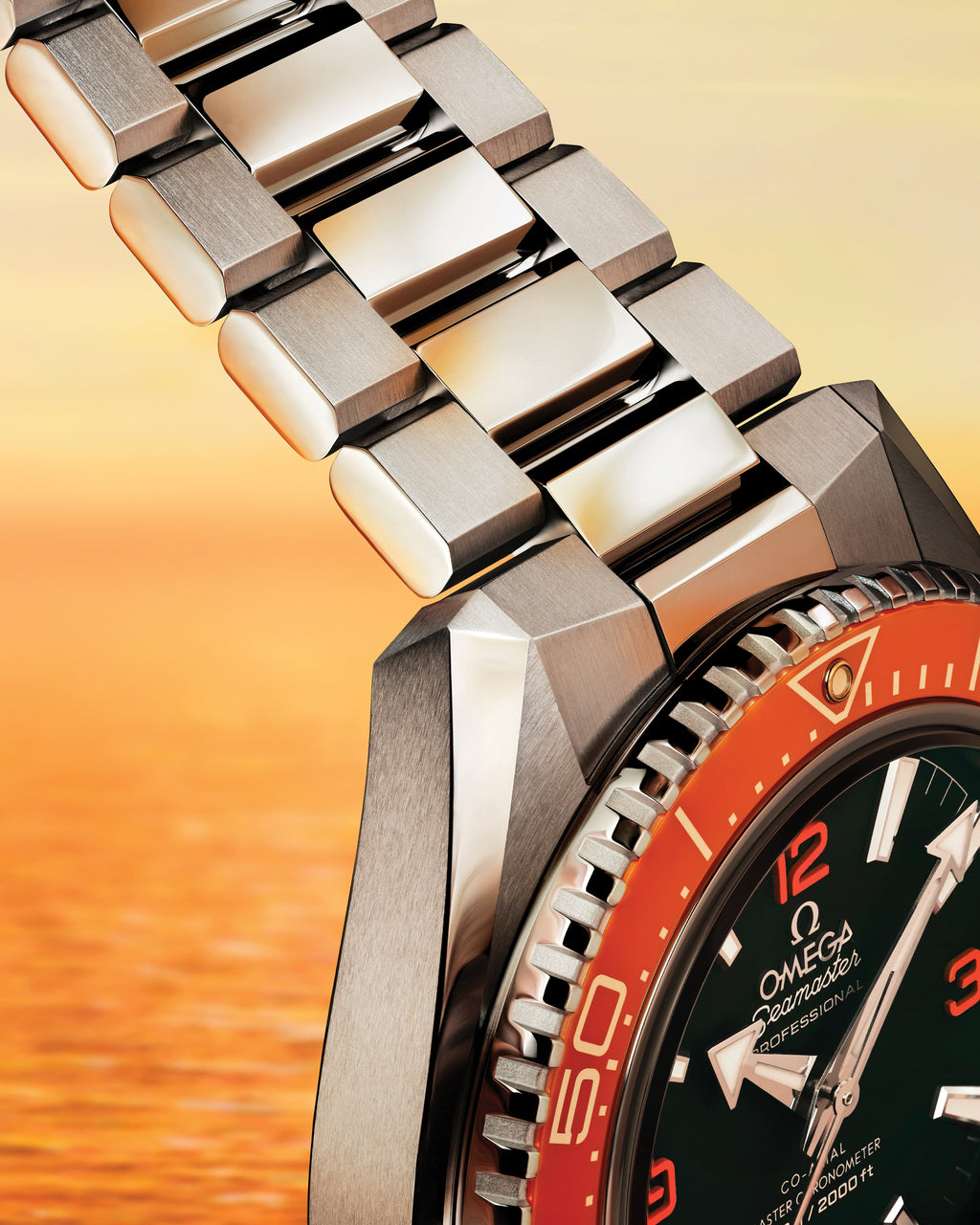 Seamaster Planet Ocean 600M 42 mm, steel on steel - 21730422101003 - View 13