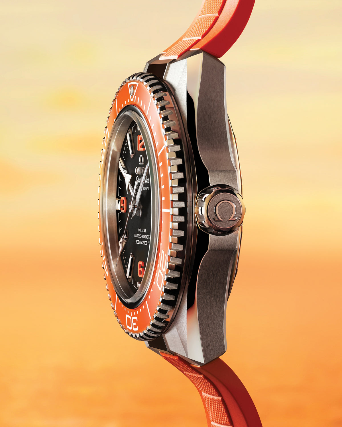 Seamaster Planet Ocean 600M 42 mm, steel on rubber strap - 21732422101004 - View 11
